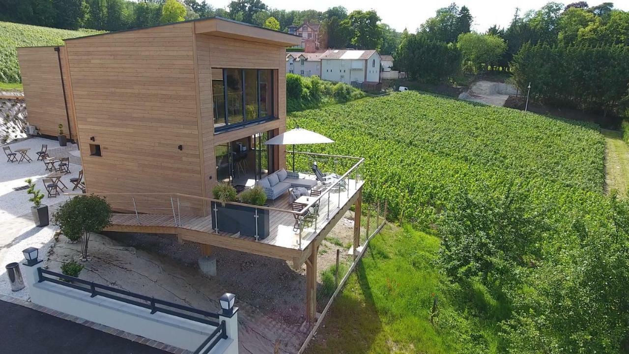 Cottages Antoinette Chigny-les-Roses 外观 照片